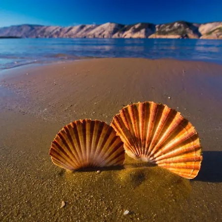 Apartman In With Sea View, Balcony, Air Conditioning, Wifi 4325-2