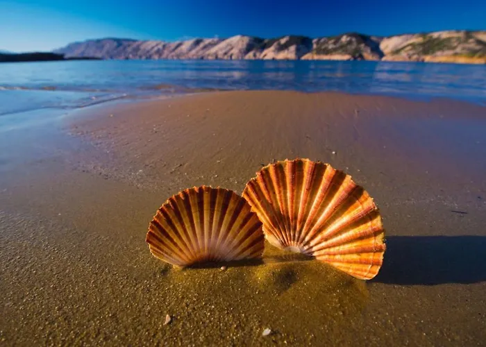 Apartman In With Sea View, Balcony, Air Conditioning, Wifi 4325-2